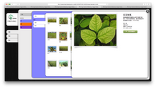 Load image into Gallery viewer, Digital Download - Crop Nutrient Deficiency Image Collection
