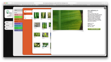 Load image into Gallery viewer, Digital Download - Crop Nutrient Deficiency Image Collection