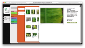 Digital Download - Crop Nutrient Deficiency Image Collection